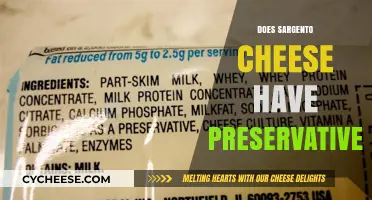 Does Sargento Cheese Contain Preservatives? A Detailed Analysis