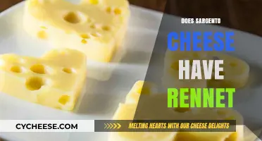 Does Sargento Cheese Use Rennet? A Comprehensive Ingredient Breakdown