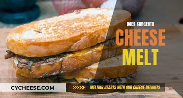 Cheese Connoisseurs: Melting Sargento Cheese, a Dream or Reality?