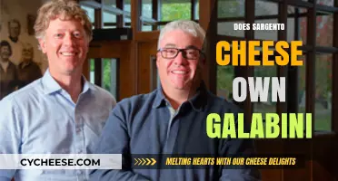 Does Sargento Cheese Own Galabini? Unraveling the Brand Connection