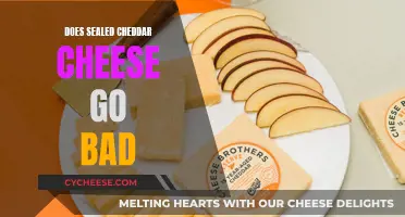 Cheddar's Shelf Life: Unlocking the Mystery of Sealed Cheese