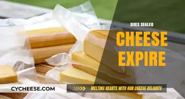 Does Sealed Cheese Expire? Unwrapping the Truth About Shelf Life