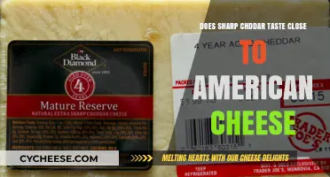 Sharp Cheddar vs. American Cheese: A Taste Comparison
