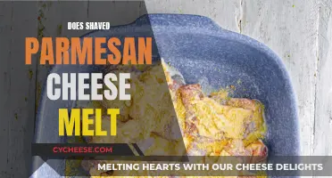 Shaved Parmesan Cheese: Melting Mystery Solved!