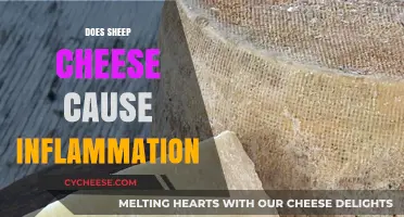 Sheep Cheese and Inflammation: Unraveling the Truth Behind the Myth