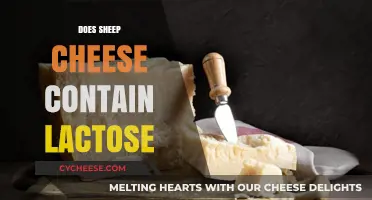 Sheep Cheese and Lactose: Understanding Its Digestibility and Benefits