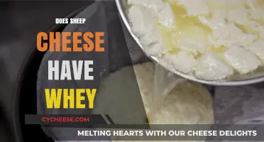 Sheep Cheese and Whey: Understanding Its Role in Cheese Production