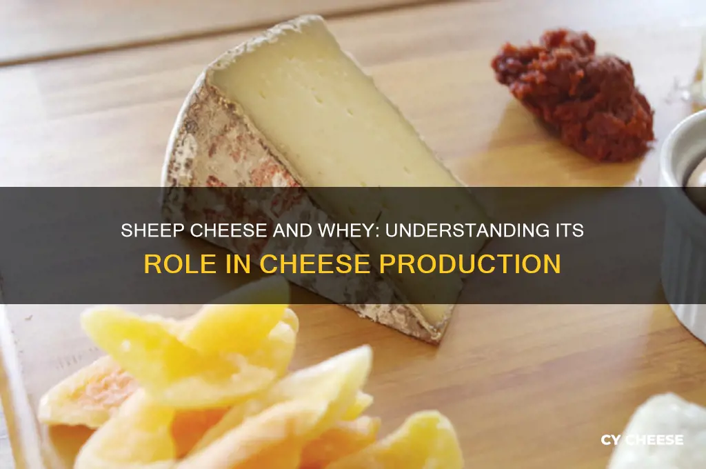 does sheep cheese have whey
