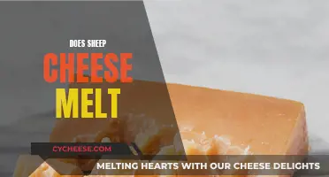 Sheep Cheese Melting: The Ultimate Guide