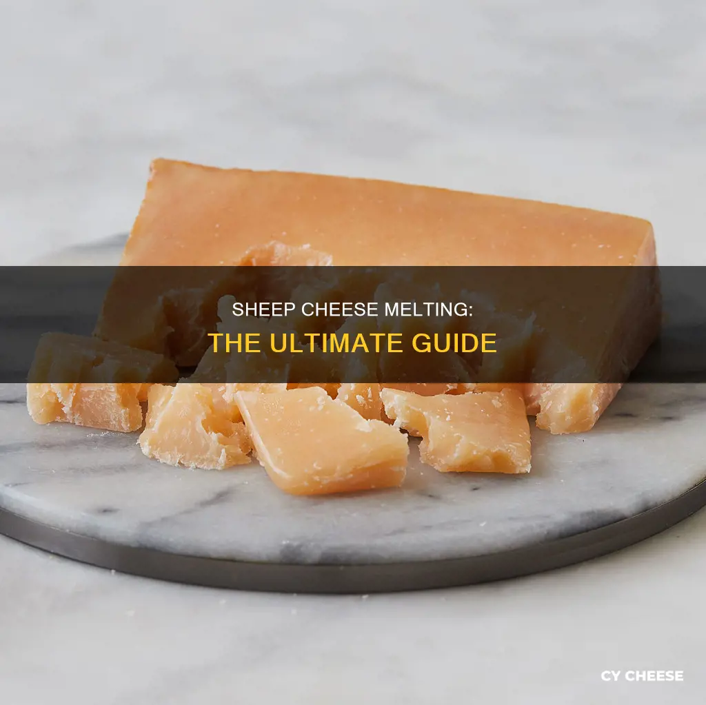 does sheep cheese melt