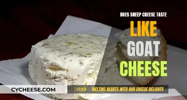 Sheep vs Goat Cheese: Similar Taste?