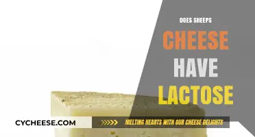 Does Sheep's Cheese Contain Lactose? A Comprehensive Guide for Cheese Lovers