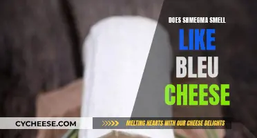 The Smell of Shmegma: Bleu Cheese Comparison