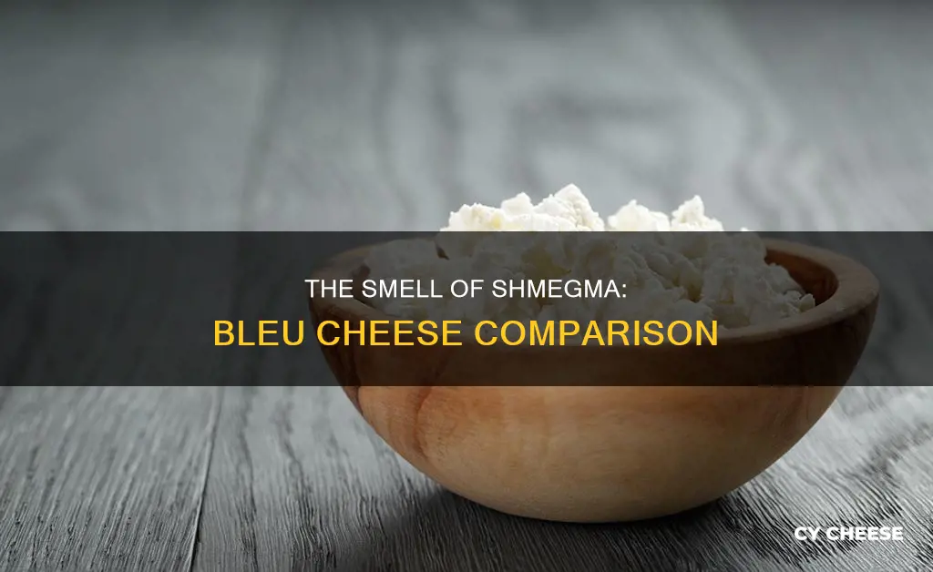 does shmegma smell like bleu cheese