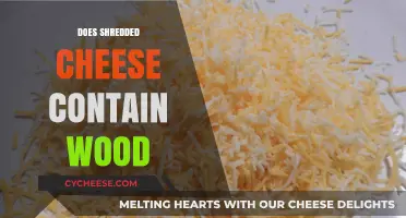 Shredded Cheese and Wood Pulp: Fact or Fiction?