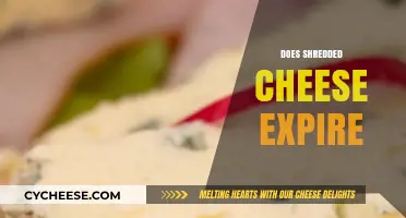 Does Shredded Cheese Expire? Shelf Life, Storage Tips, and Safety
