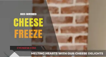 Can Shredded Cheese Be Frozen? Tips for Preserving Cheese