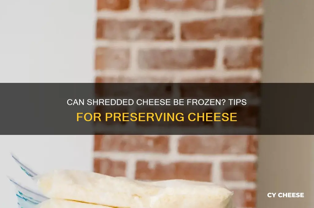 does shredded cheese freeze