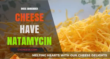 Does Shredded Cheese Contain Natamycin? A Detailed Look