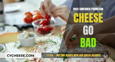 Parmesan Cheese: How Long Does It Last?