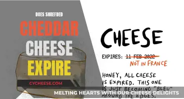 Cheese Conundrum: Does Cheddar's Shelf Life Matter?