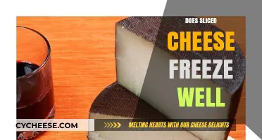 Can Sliced Cheese Be Frozen? Tips for Preserving Cheese Slices
