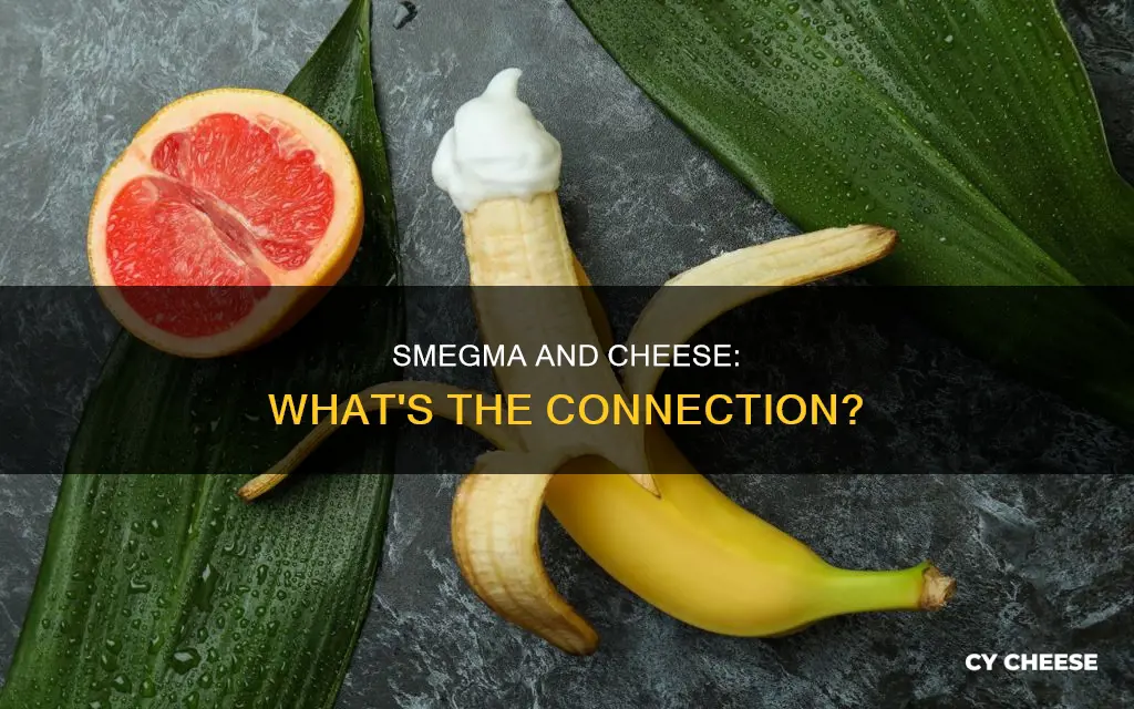 does smegma smell like cheese