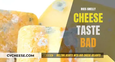 Smelly Cheeses: Delicious or Disgusting?