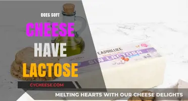 Soft Cheese and Lactose: What You Need to Know