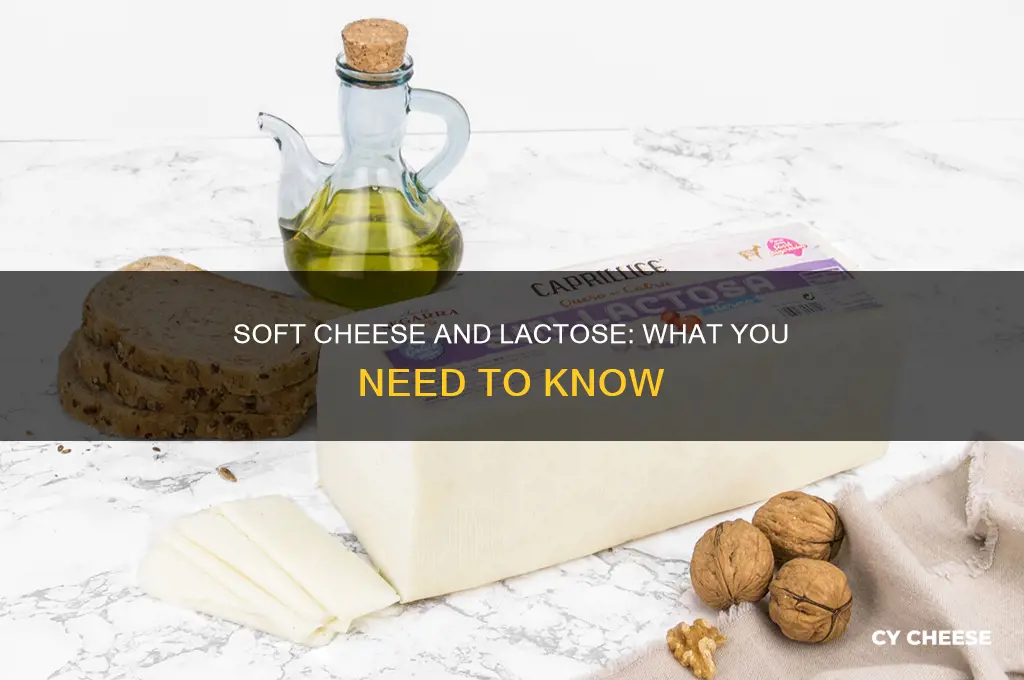 does soft cheese have lactose