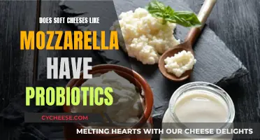 Do Soft Cheeses Like Mozzarella Contain Probiotics?