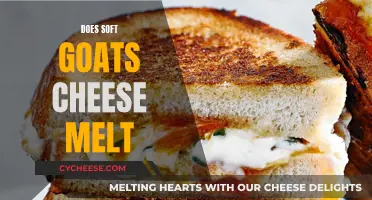 Goat Cheese Melting: The Soft Variety's Melting Point