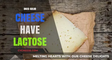 Does Solid Cheese Have Lactose? Uncovering the Truth for Dairy Lovers