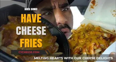 Sonic's Menu Secrets: Are Cheese Fries a Hidden Option?