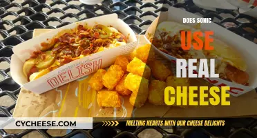 Sonic's Cheese: Real or Fake?