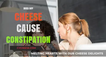 Soy Cheese and Constipation: Unraveling the Digestive Impact