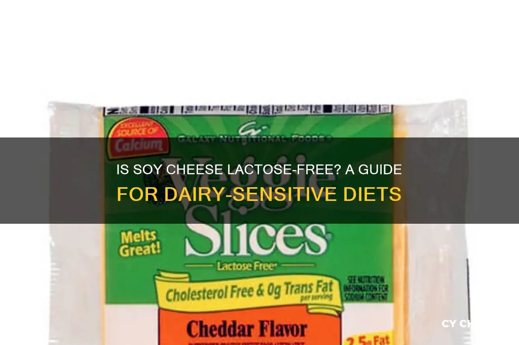 does soy cheese contain lactose