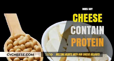 Soy Cheese Protein Content: A Nutritional Breakdown and Benefits