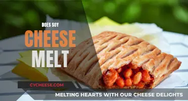 Soy Cheese Melt: What's the Deal?