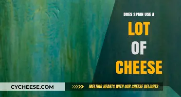 Spain's Cheese Culture: A Tasty Overview