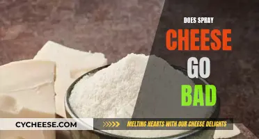 Spray Cheese: How Long Does it Last?