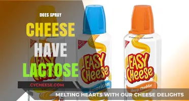 Does Spray Cheese Contain Lactose? Unraveling the Dairy-Free Mystery