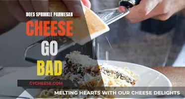 Sprinkle Parmesan Cheese: How Long Does It Last?