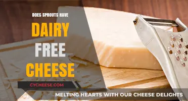 Sprouts' Dairy-Free Cheese: A Delicious Alternative