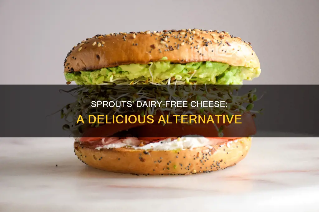 does sprouts have dairy free cheese