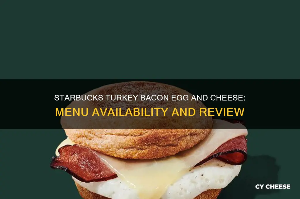 does starbucks have a turkey bacon egg and cheese