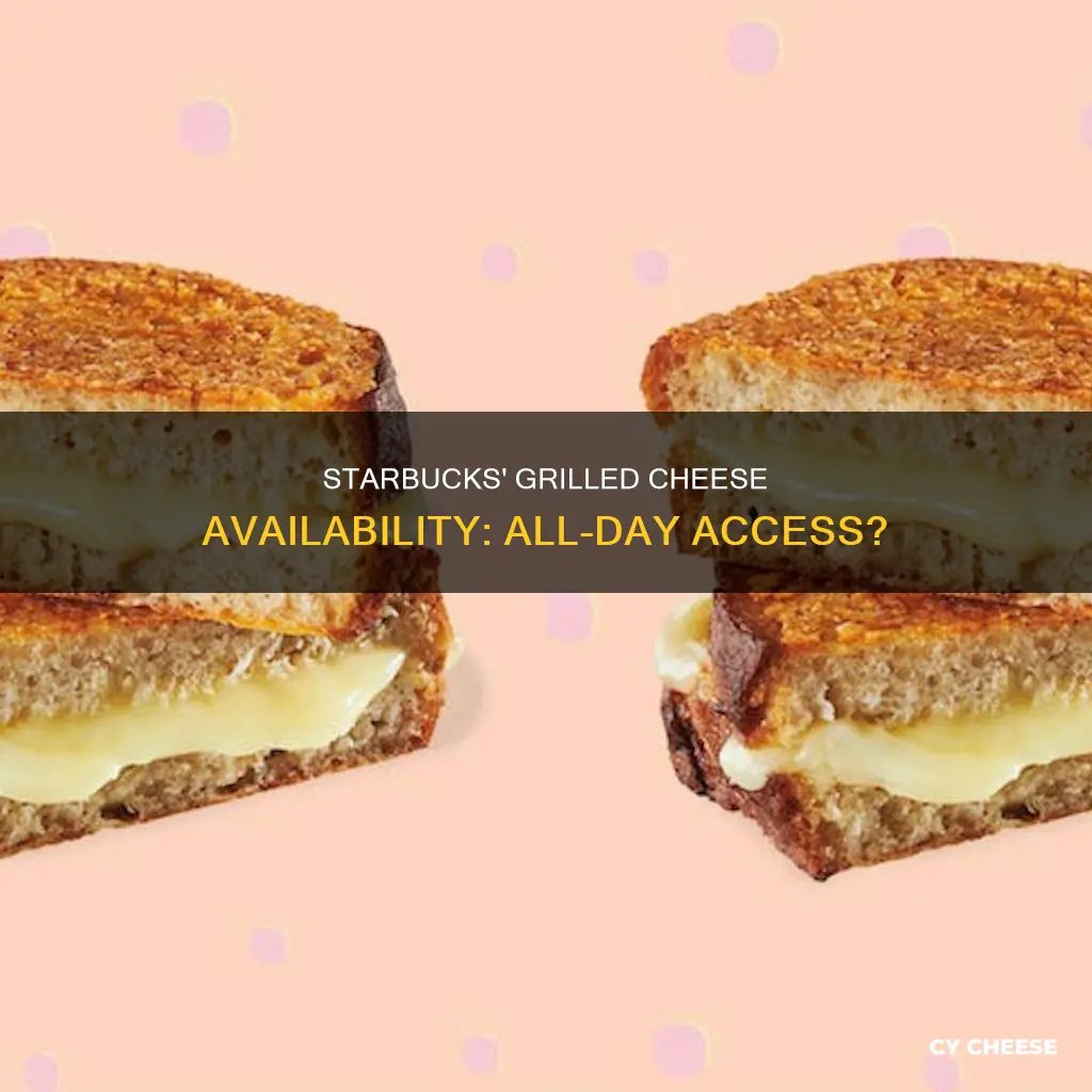 does starbucks serve grilled cheese all day