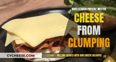 Starch's Magic: Keeping Melted Cheese Smooth and Clump-Free