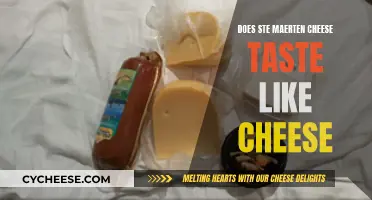 Ste Maerten Cheese: Cheesy Taste or Not?