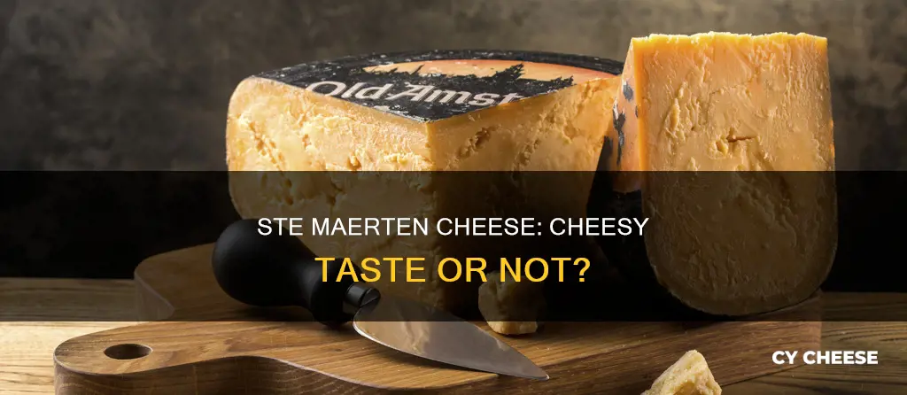 does ste maerten cheese taste like cheese